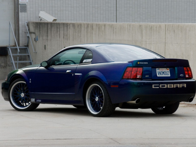 Обои картинки фото автомобили, mustang, ford, cobra