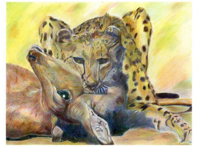 Обои картинки фото автор, игорь, андронов, рисованные