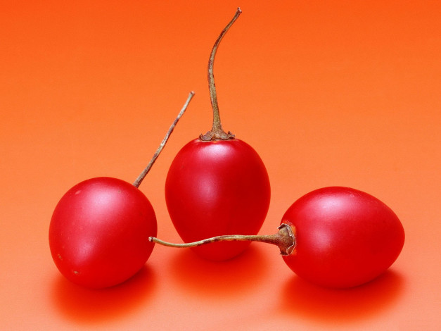 Обои картинки фото еда, тамарилло