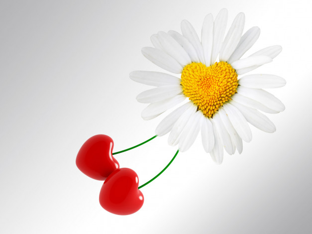 Обои картинки фото праздничные, день, св, валентина, сердечки, любовь