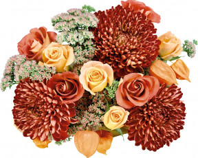 Картинка цветы букеты композиции хризантемы розы каланхоэ