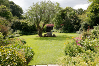 Картинка природа парк лужайка деревья кусты скамейка цветы