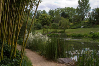 Картинка природа парк пруд дорожка водяные цветы