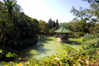 Картинка природа парк беседка водоем пальмы