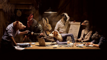 Картинка юмор приколы совет