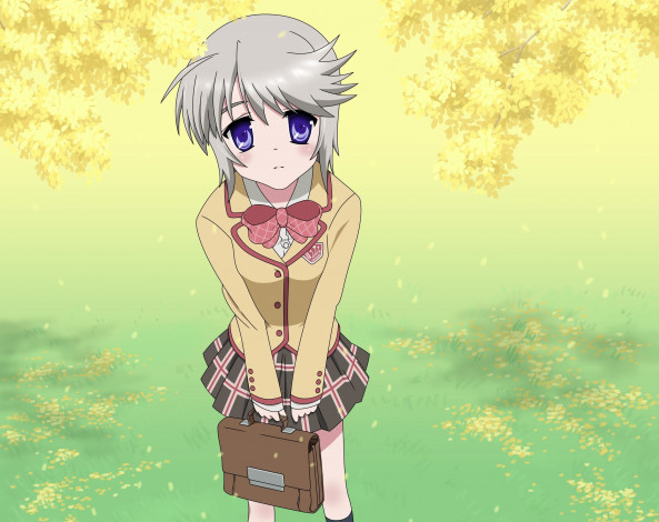 Обои картинки фото аниме, kanokon, nozomu, ezomori