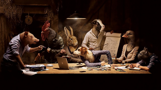 Обои картинки фото юмор, приколы, совет