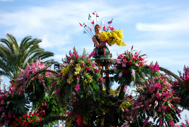 Обои картинки фото цветы, разные, вместе, море, цветов, лилии, орхидеи