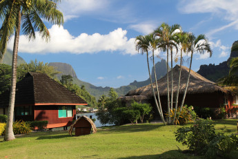Картинка французская полинезия природа тропики