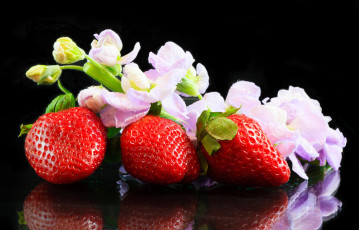 Картинка еда клубника земляника левкой ягоды