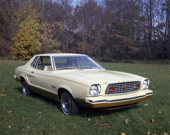 Обои картинки фото автомобили, mustang