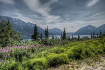 Картинка природа реки озера река горы простор цветы