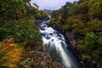 Картинка природа реки озера горы стремнина река лес скалы