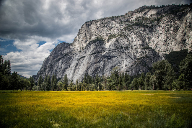 Обои картинки фото природа, горы, скалы, поле, цветы