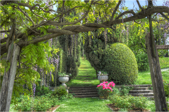 Обои картинки фото природа, парк, деревья, цветы, кусты, аллея