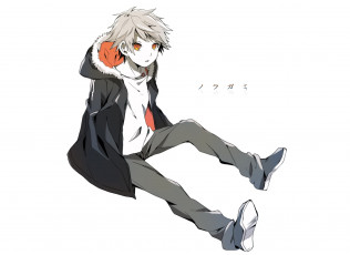 Картинка аниме noragami юкине