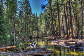 Картинка природа реки озера лес река