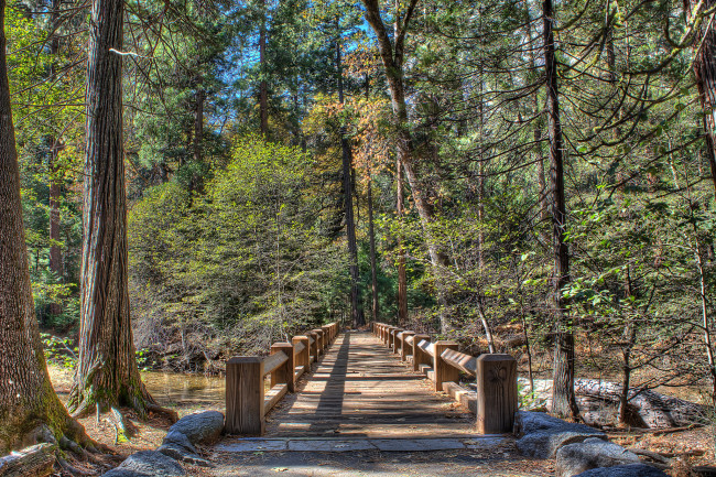 Обои картинки фото природа, дороги, лес, мостик