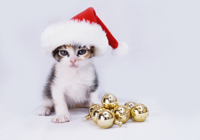 Обои картинки фото разное, компьютерный дизайн, котёнок, колпак, игрушки, шарики