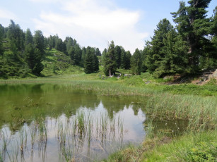 Картинка природа реки озера лес озеро