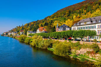 обоя города, сиэтл , сша, солнечно, кусты, сиэтл, деревья, дома, осень, небо, голубое, море, seattle, побережье