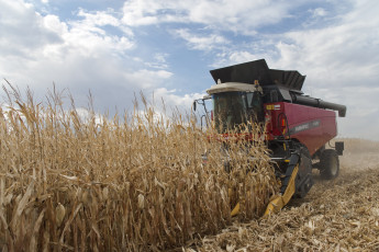 Картинка техника комбайны versatile