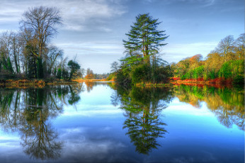 Картинка природа реки озера лес река