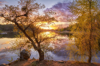 Картинка природа реки озера лес река