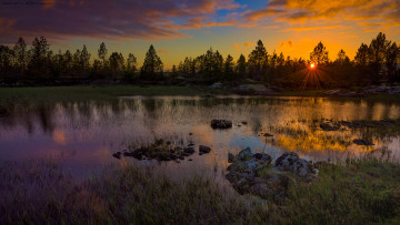 Картинка природа реки озера лес река