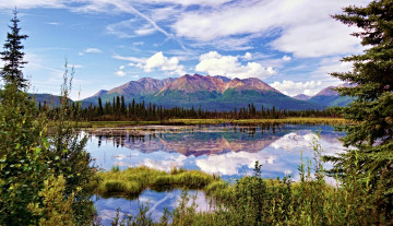 Картинка природа реки озера лес река