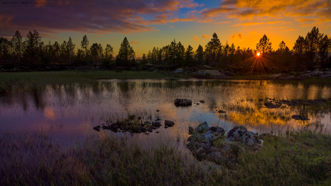 Обои картинки фото природа, реки, озера, лес, река