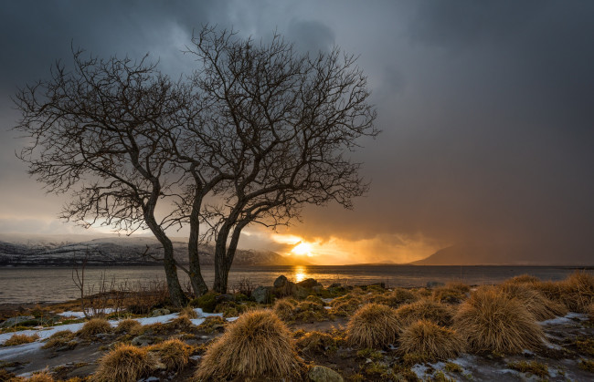 Обои картинки фото природа, реки, озера, лес, река