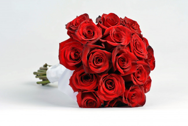 Обои картинки фото цветы, розы, букет