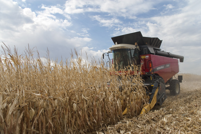 Обои картинки фото техника, комбайны, versatile