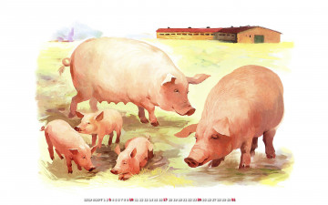 Картинка календари рисованные +векторная+графика поросенок свинья