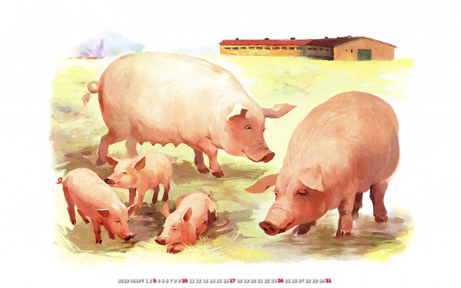 Обои картинки фото календари, рисованные,  векторная графика, поросенок, свинья