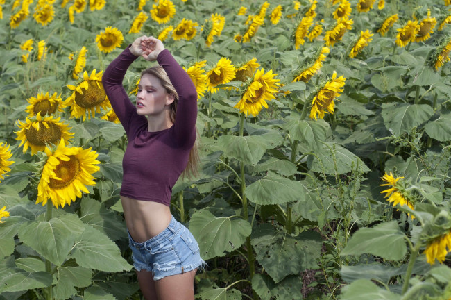 Обои картинки фото девушка, девушки, -unsort , блондинки,  светловолосые, модель