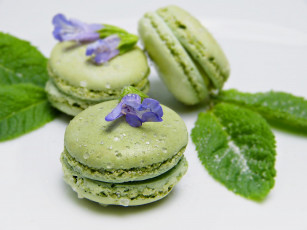 Картинка еда макаруны лакомство печенье мята