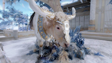 Картинка кино+фильмы the+starry+love бык цветы дворец