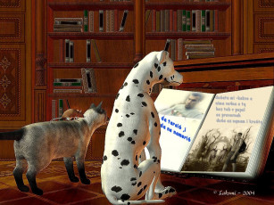 Картинка разное