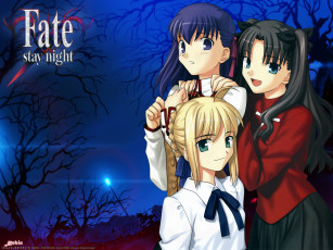 Картинка аниме fate stay night