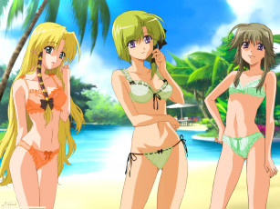 Картинка аниме shuffle