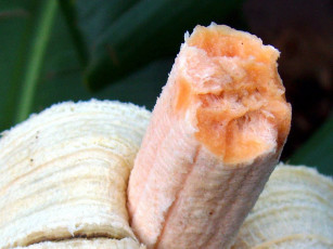 Картинка еда бананы