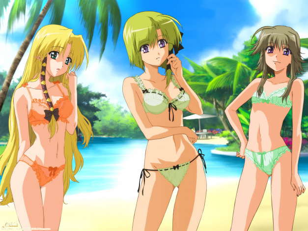 Обои картинки фото аниме, shuffle