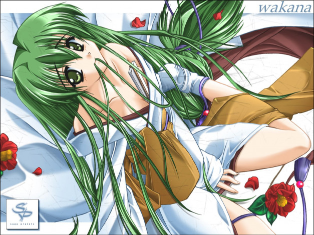 Обои картинки фото аниме, *unknown, другое