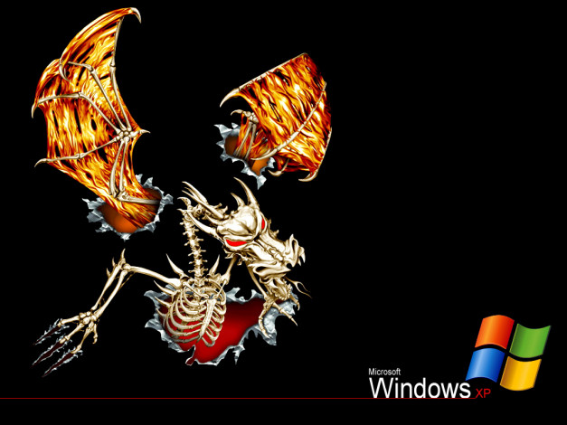 Обои картинки фото компьютеры, windows, xp