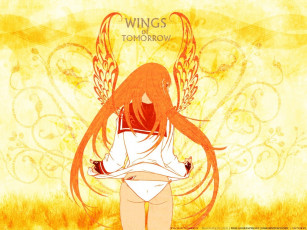 Картинка аниме air gear