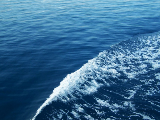 Обои картинки фото 