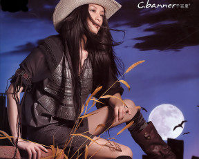 обоя banner, бренды