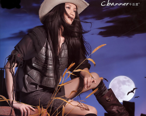 Обои картинки фото banner, бренды